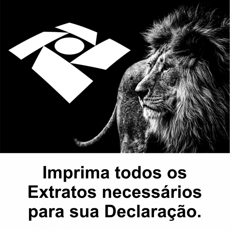 Extratos Irpf Araraquara - Informe de Rendimentos