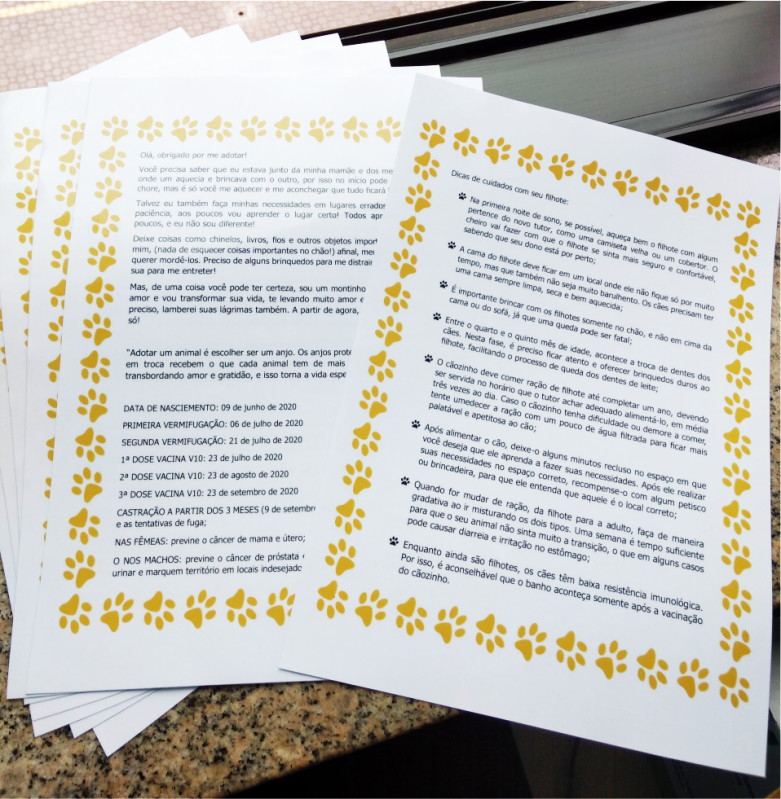 Impressão Cartas Jardim Namba - Impressão Cartas