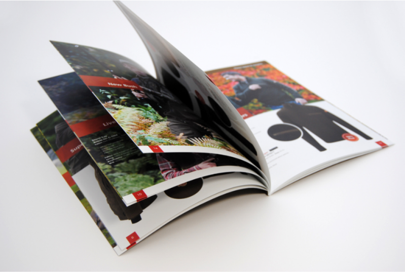Impressão de Catálogos e Revistas Preços Indaiatuba - Impressão Digital Catálogos